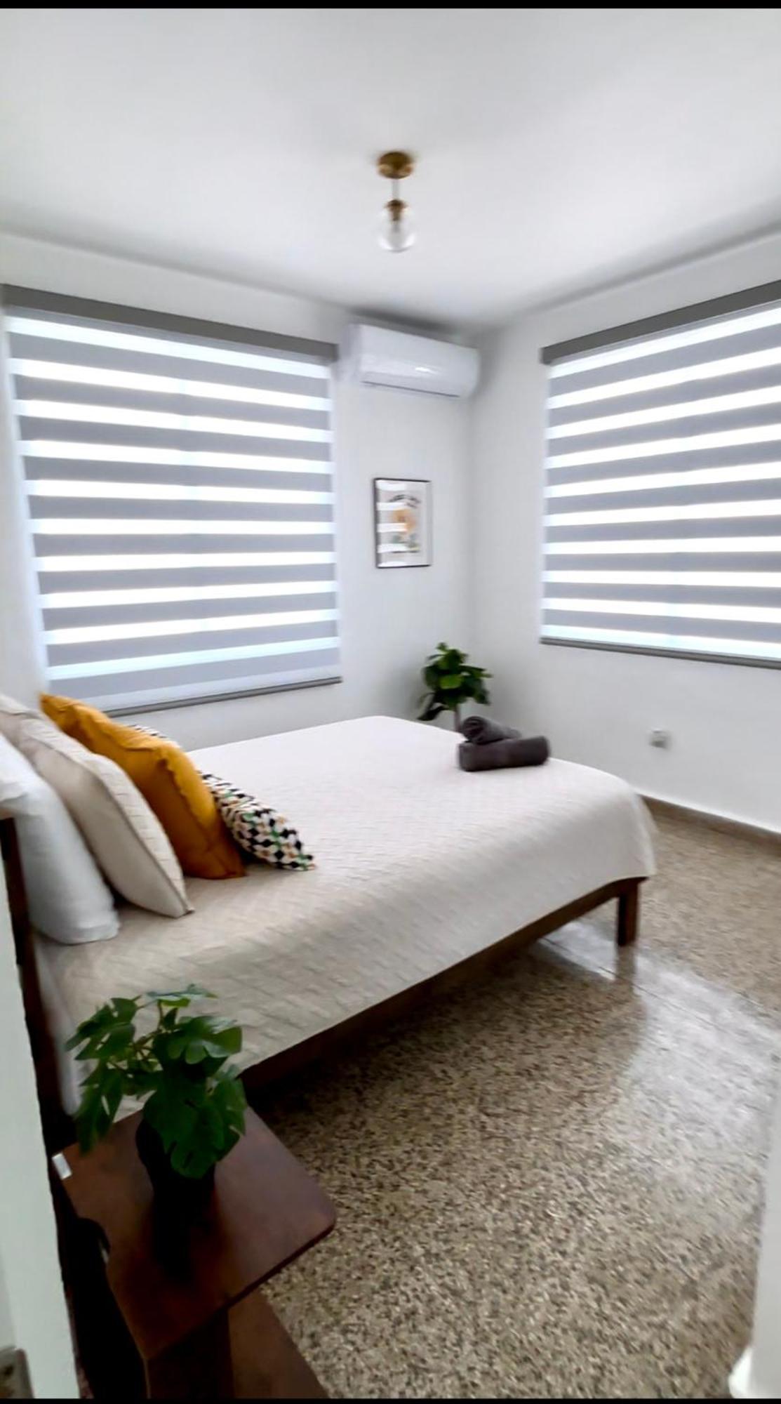Urban Tropical Oasis In San Juan Appartement Buitenkant foto